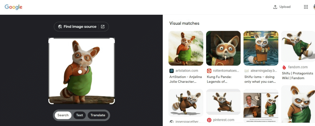 google visual matches